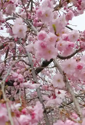豊國神社(大阪府)