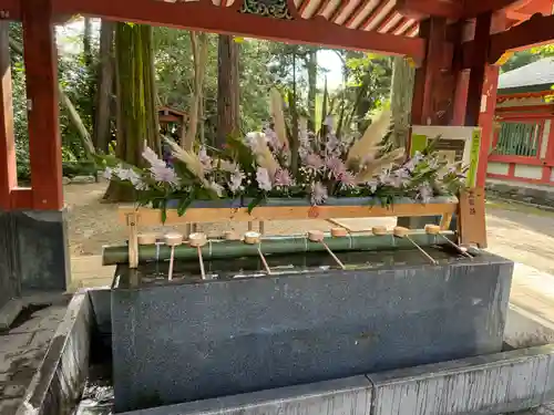 武蔵一宮氷川神社(埼玉県)