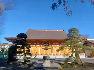 大円寺(東京都)