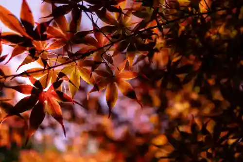 長岡天満宮(京都府)