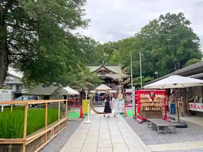 鎮守氷川神社のその他建物