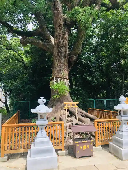 和泉國一之宮 大鳥大社の自然