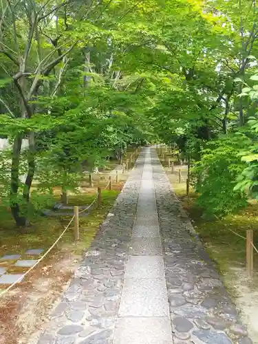 鹿王院(京都府)