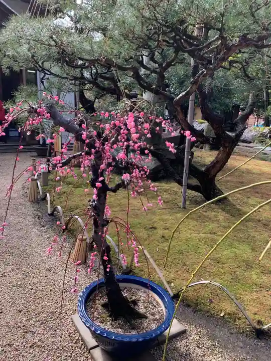 神社(慶雲館)(滋賀県)
