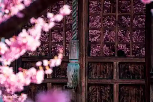 長徳寺(京都府)