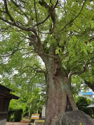與賀神社(佐賀県)