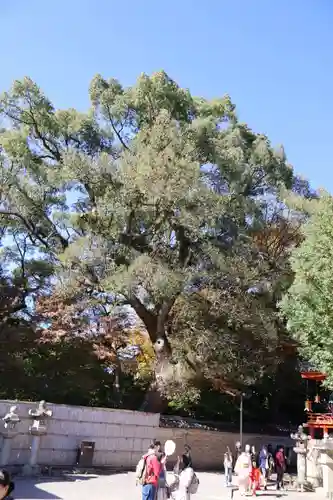 石清水八幡宮(京都府)