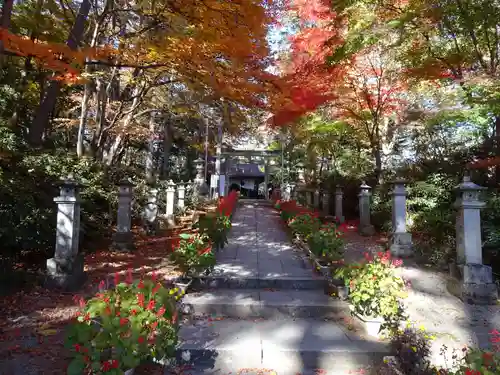 白根神社の建物その他