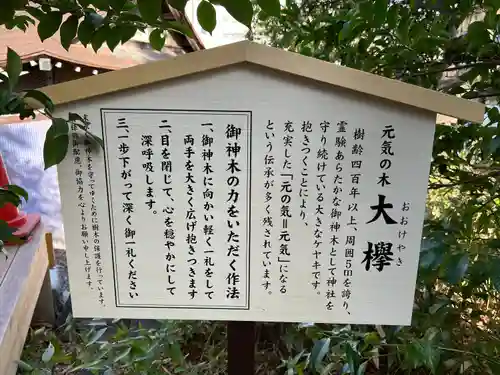 鎮守氷川神社の自然