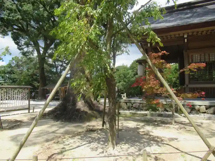 宝満宮竈門神社(福岡県)