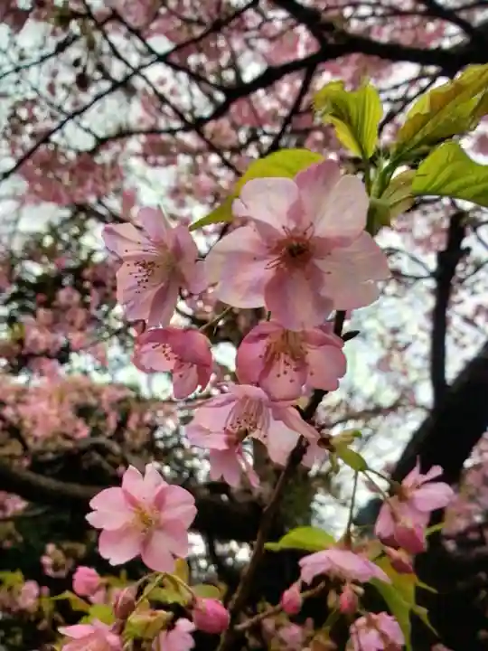 小野照崎神社(東京都)