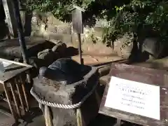 酒列磯前神社の狛犬