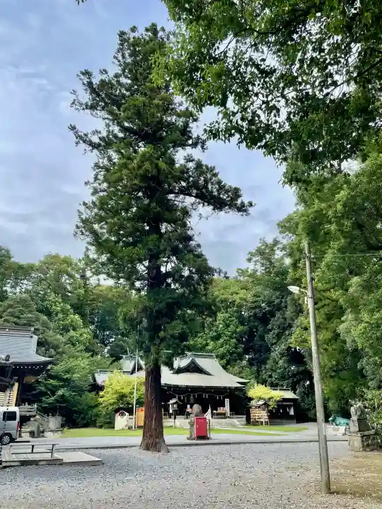 朝日森天満宮(栃木県)