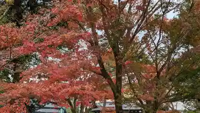 平等院(京都府)