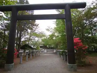 信濃神社の鳥居