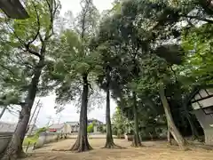 春日神社(京都府)