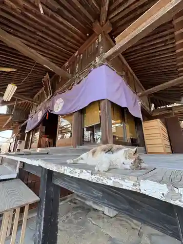 賀茂別雷神社(栃木県)