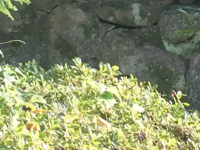 速谷神社(広島県)