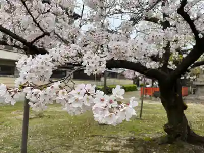四天王寺庚申堂の自然