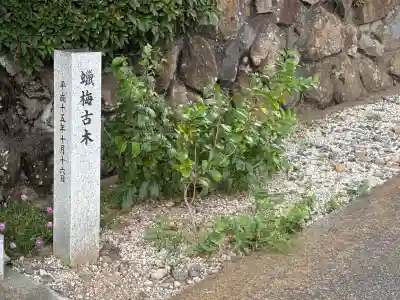 円光院(山梨県)