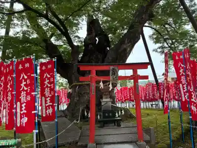秩父今宮神社の{uncategorized: "未分類", other: "その他", undefined: "問題あり", building: "その他建物", grave: "お墓", sacred_gate: "鳥居", guardian: "狛犬", statue: "像", buddha: "仏像", history: "歴史", nature: "自然", garden: "庭園", animal: "動物", pagoda: "塔", temizu: "手水舎", mountain_gate: "山門・神門", sanctuary: "本殿・本堂", subordinate: "末社・摂社", art: "芸術", scenery: "景色", jizo: "地蔵", ema: "絵馬", goshuin: "御朱印", omikuji: "おみくじ", items: "授与品その他", amulet: "お守り", goshuincho: "御朱印帳", eats: "食事", festival: "お祭り", votive_dance: "神楽", shichigosan: "七五三参", wedding: "結婚式", experience: "体験その他", initially: "初詣", around: "周辺", anti_infection: "感染症対策"}