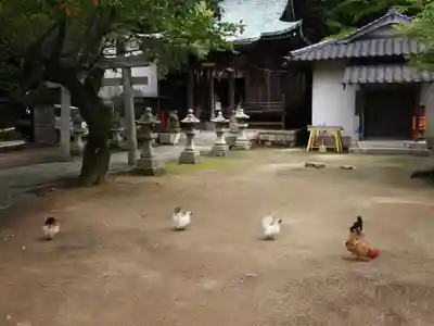 忌宮神社(山口県)