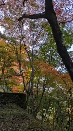 神護寺(京都府)