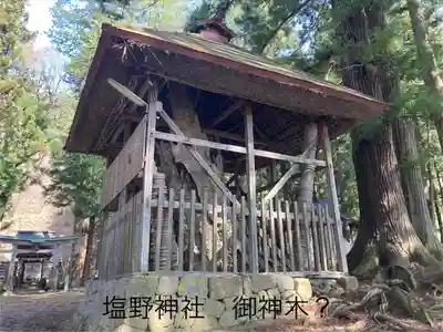 塩野神社(長野県)