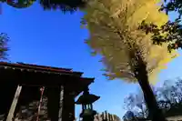 山神社の本殿・本堂