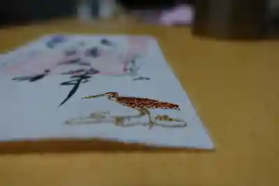 立体的なのが分るでしょうか？