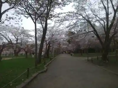 北海道神宮の初詣