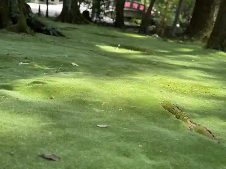 都農神社(宮崎県)