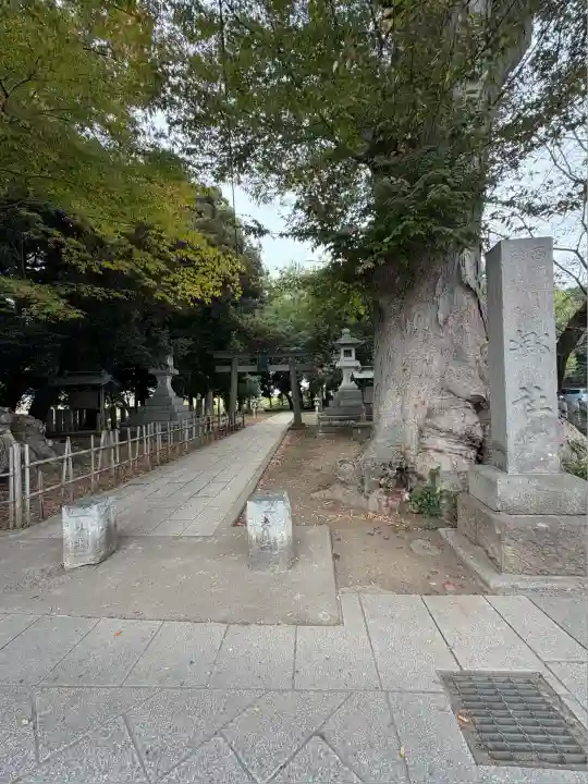 雀神社(茨城県)