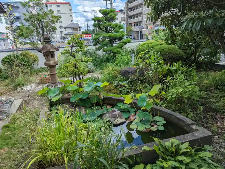 単伝庵(京都府)