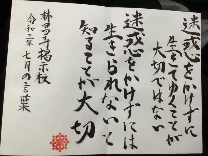 薬師山 林昌寺の御朱印