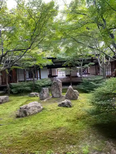 建仁寺（建仁禅寺）(京都府)