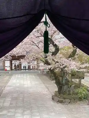 伝通院(東京都)