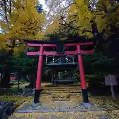 岩戸落葉神社の鳥居