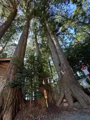 坪沼八幡神社(宮城県)