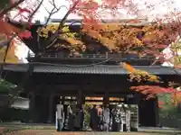 永源寺(滋賀県)