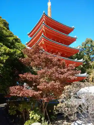 東長寺の塔