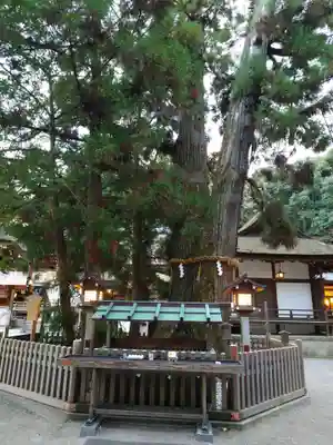 大神神社(奈良県)