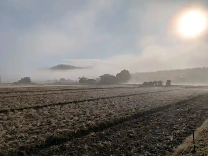 塩田八幡宮の{uncategorized: "未分類", other: "その他", undefined: "問題あり", building: "その他建物", grave: "お墓", sacred_gate: "鳥居", guardian: "狛犬", statue: "像", buddha: "仏像", history: "歴史", nature: "自然", garden: "庭園", animal: "動物", pagoda: "塔", temizu: "手水舎", mountain_gate: "山門・神門", sanctuary: "本殿・本堂", subordinate: "末社・摂社", art: "芸術", scenery: "景色", jizo: "地蔵", ema: "絵馬", goshuin: "御朱印", omikuji: "おみくじ", items: "授与品その他", amulet: "お守り", goshuincho: "御朱印帳", eats: "食事", festival: "お祭り", votive_dance: "神楽", shichigosan: "七五三参", wedding: "結婚式", experience: "体験その他", initially: "初詣", around: "周辺", anti_infection: "感染症対策"}