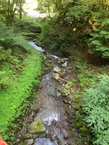 榛名神社の自然