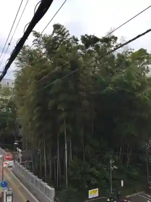 不知森神社の自然
