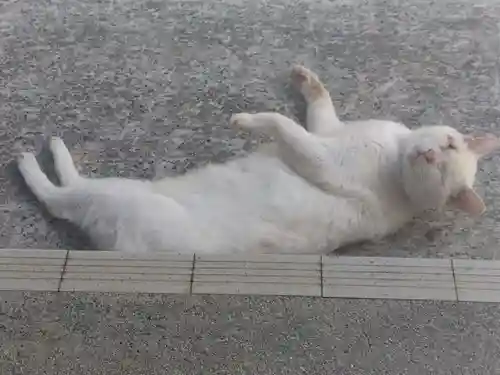 宝寿院(愛知県)