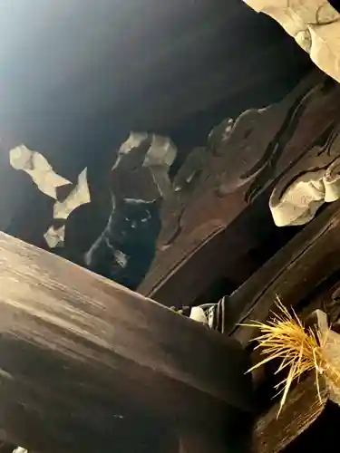 道明寺天満宮の動物