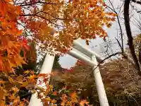 土津神社|こどもと出世の神さま(福島県)