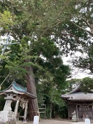 熊野神社の自然