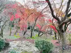 宝満宮竈門神社(福岡県)